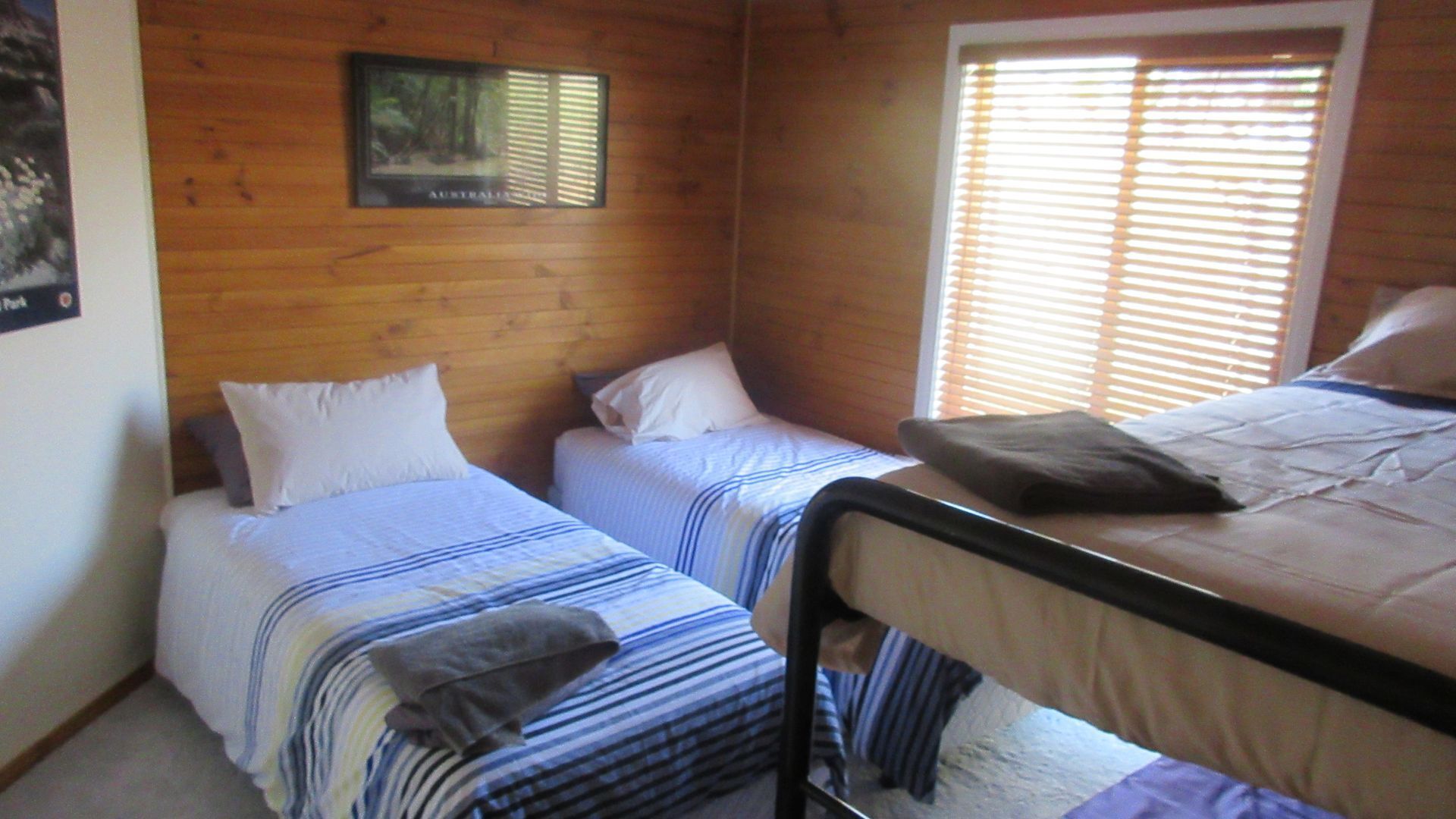 Misty Mountain -  September Special Now Available — image 13