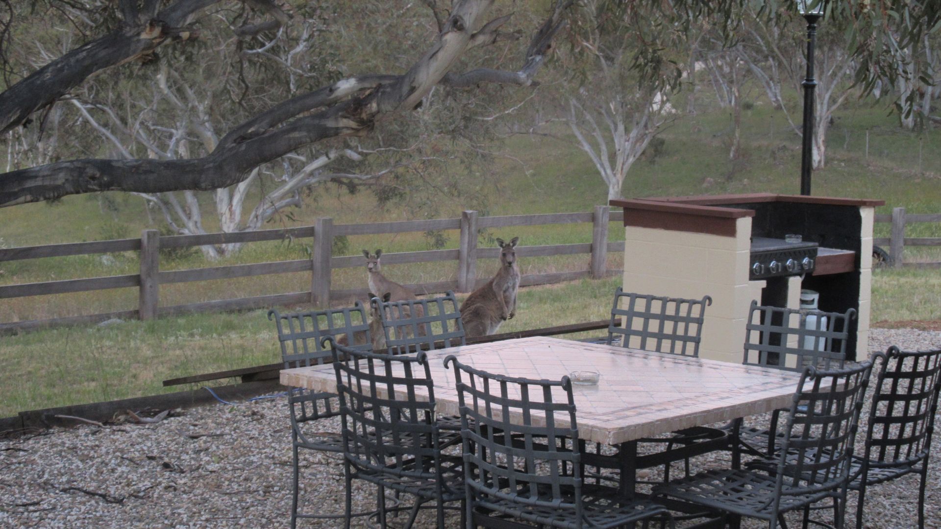 Misty Mountain -  September Special Now Available — image 5