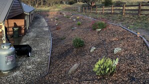 A garden area with a gravel path, various plants, and a wooden fence. - Misty Mountain -  September Special Now Available (Jindabyne)