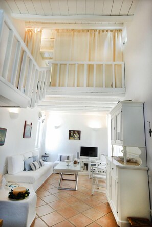 TV, video games, DVD player, books