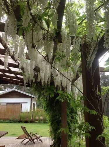 Shizunami Retreat Bermagui