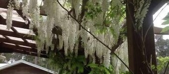 Shizunami Retreat Bermagui