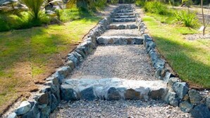 A stone pathway leading through a garden with various plants and trees. - Shizunami Retreat Bermagui (Bermagui)