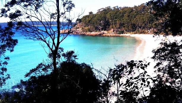 A beach with clear turquoise water, surrounded by dense forest and a sandy shore. - Unit 3 - Modern 2BR Apartment on Huskisson Main Street By Nautilus Apartments Je (Huskisson)