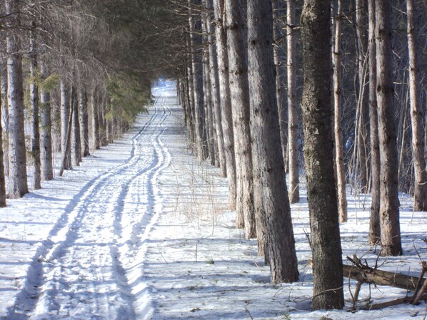 More than 6km of hiking trails, all-year long, directly on the house land. - Rustic 300 y/o Cottage in ♥ of Historical Paradise (Château-Richer)