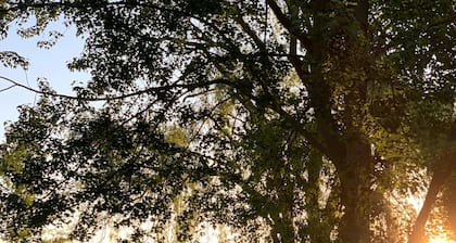 Lakefront House close to Ann Arbor!