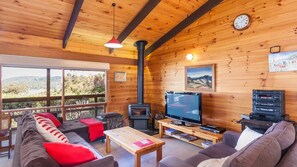 TV, fireplace, DVD player, music library