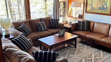 TV connectée, cheminée, lecteur de DVD, livres