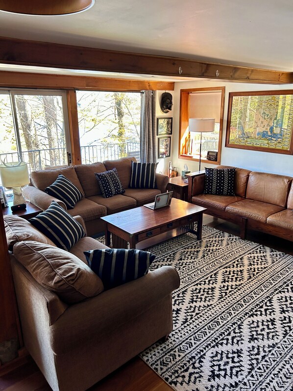 Smart TV, fireplace, DVD player, books