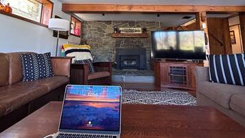 TV connectée, cheminée, lecteur de DVD, livres