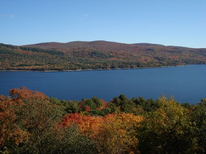 4 Seasons Romance and Serenity Discover your Perfect Retreat on Sacandaga Lake!
