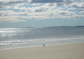 Enjoy a serene beach experience with breathtaking views of the calm sea and expansive horizon.