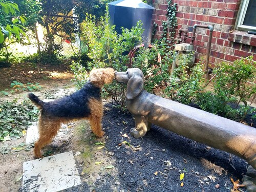 Yksityinen retriitti. Asunto Washington DC: ssä - Kolme mailia Valkoiseen taloon