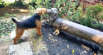 Yksityinen retriitti. Asunto Washington DC: ssä - Kolme mailia Valkoiseen taloon