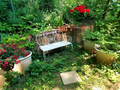 Yksityinen retriitti. Asunto Washington DC: ssä - Kolme mailia Valkoiseen taloon