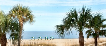  Beautiful 1 Bedroom Garden Unit. Just steps from the beach. NO HIDDEN FEES