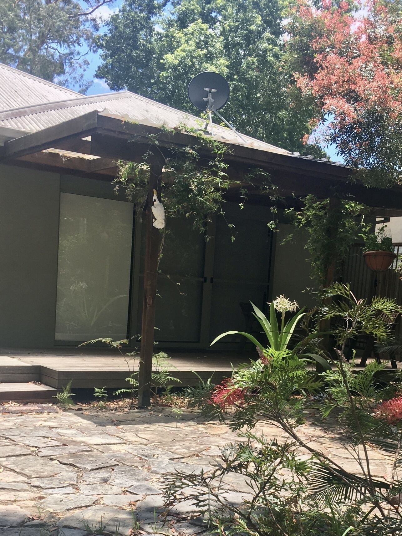 Nestled among trees and close to beach - super clean spacious and comfortable