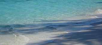 Chalet de plage confortable et neuf avec une vue spectaculaire sur l'océan - Point de vue