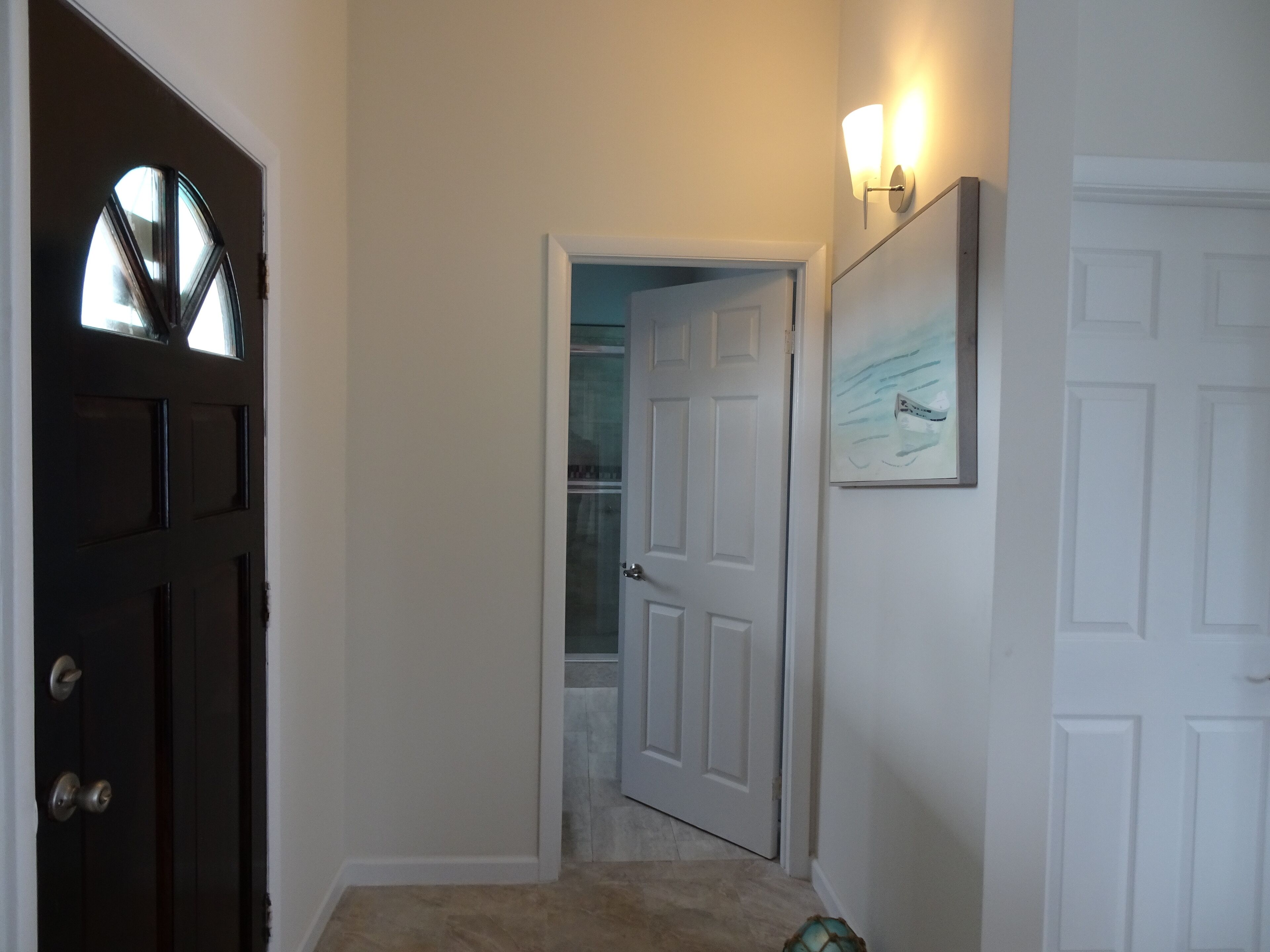 A hallway with a dark wooden door, a white door, and a light switch on the wall.