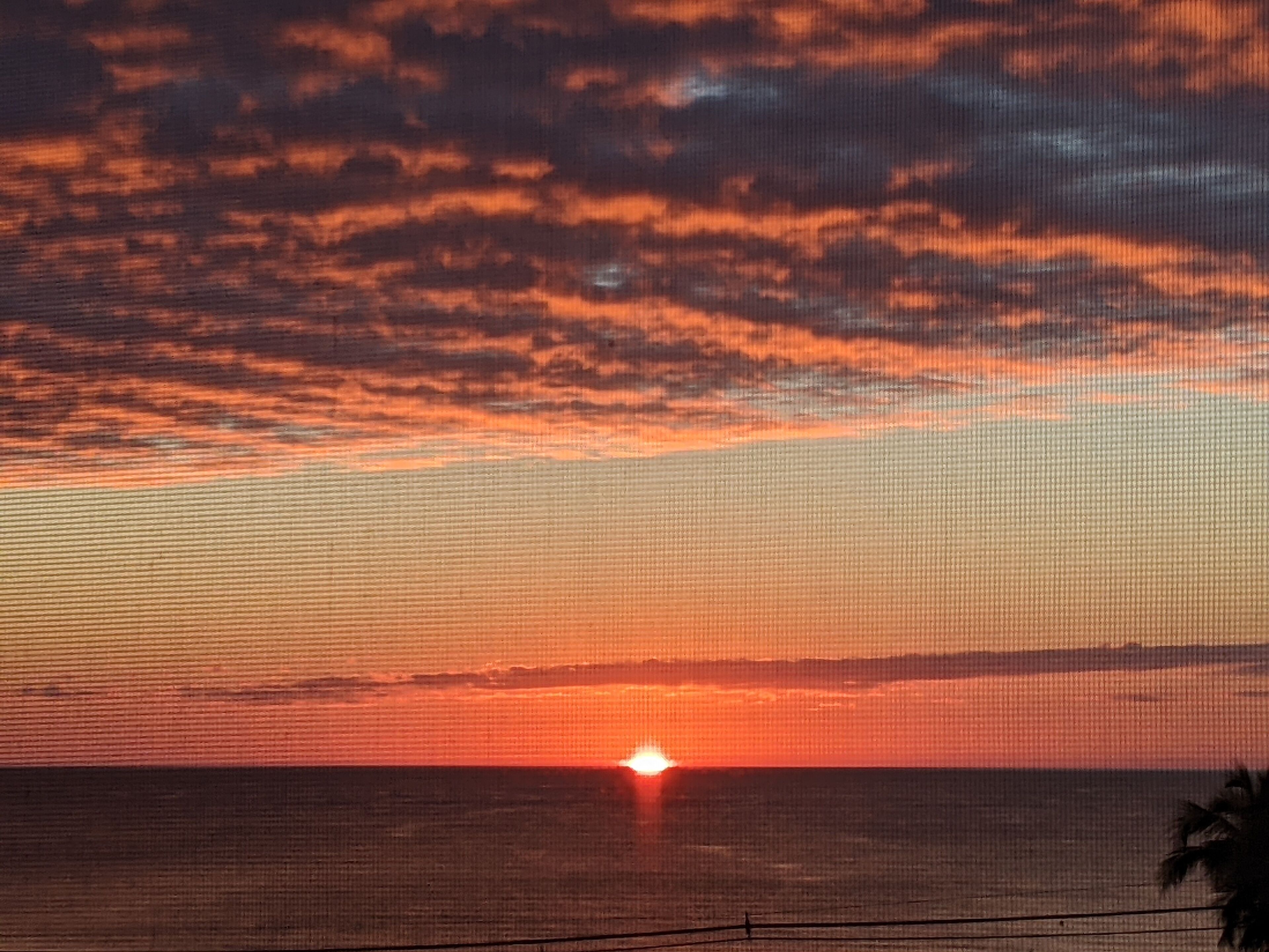 You Deserve The Best on Bonita Beach--That's Why You Should "Stay With Us"