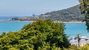 A coastal landscape with a beach, a hill with buildings, and dense greenery in the foreground. - Grand Vue (Lorne)