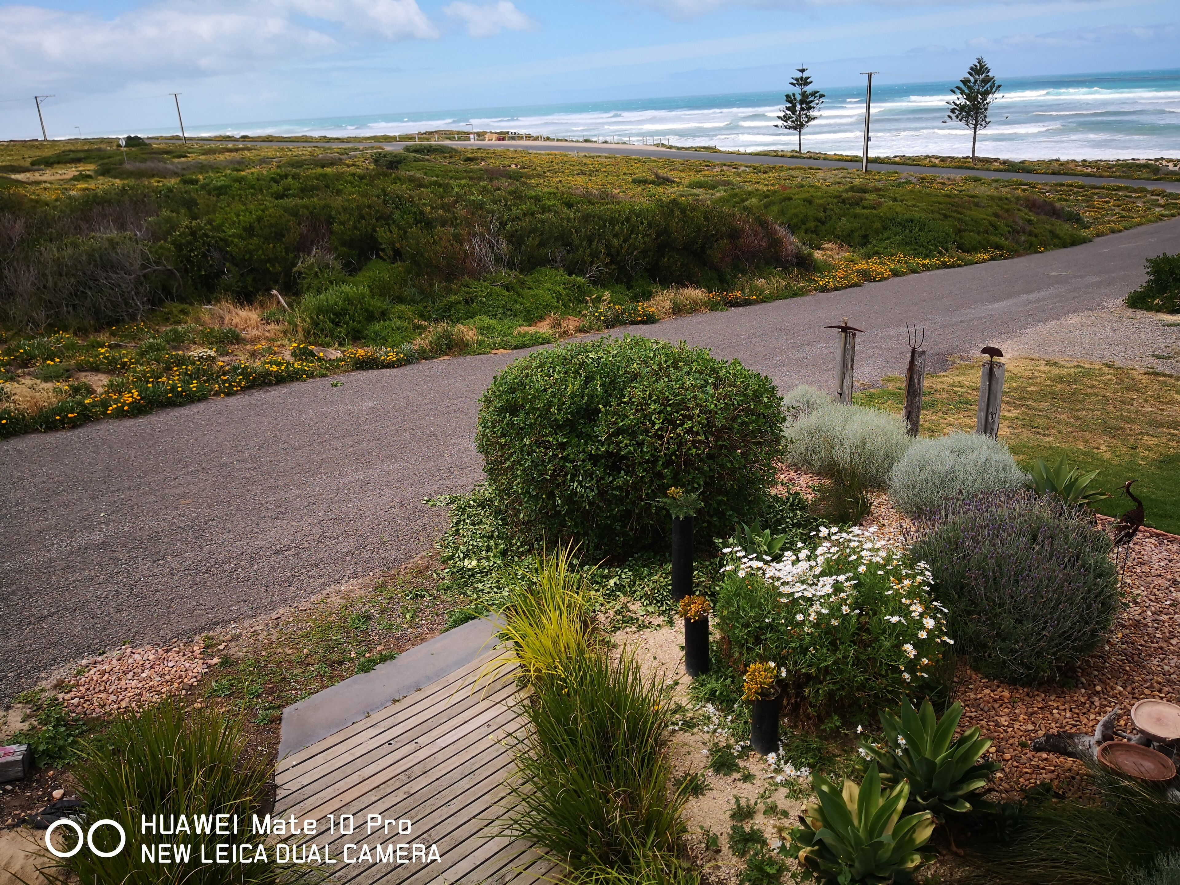 Bondi Beach House Middleton — image 24