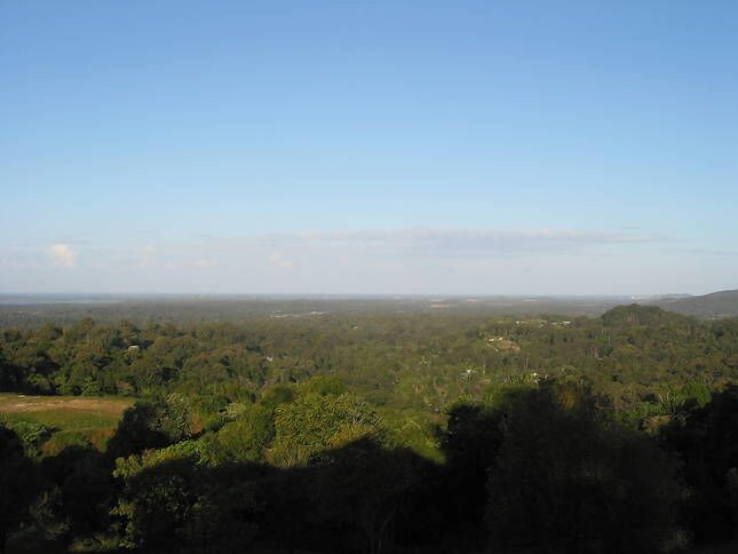 Vista panorámica de un paisaje boscoso con cielo despejado.