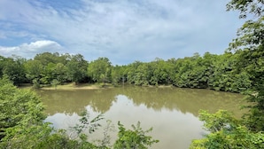 A natural landscape with a calm body of water surrounded by dense greenery and trees.
