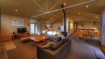 TV, fireplace, DVD player, books