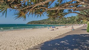 Une plage avec une promenade en bois, un rivage sablonneux et des palmiers.