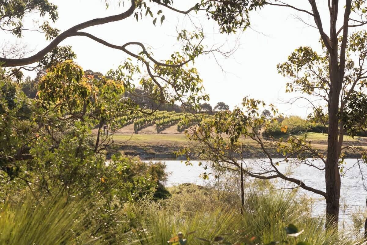 A natural landscape with a body of water, trees, and a bridge.