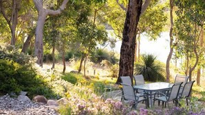 Een terras met een tafel en stoelen, omgeven door bomen en planten.