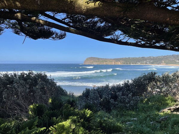 Playa en los alrededores y camastros 