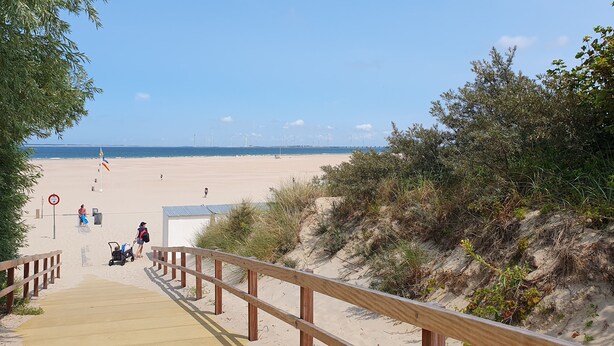 Un camí de fusta que condueix a una platja de sorra sota un cel clar, amb aerogeneradors al fons.