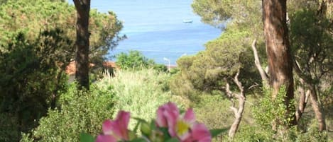 Terrain de lâhĂ©bergement