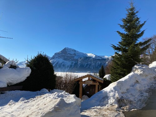 Ski Chalet Apartment in Les Carroz, Haute-Savoie, French Alps