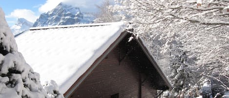 A snow-covered wooden cabin with a sloped roof, surrounded by trees and mountains in the background.