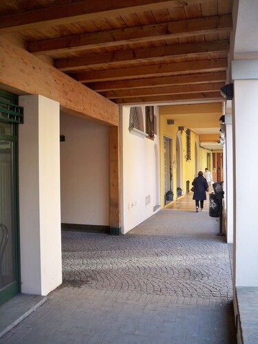 'Ca' di Vale': cozy flat in the centre of Bologna. Rooftops view of the town.