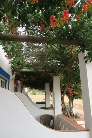 Terassi/patio
