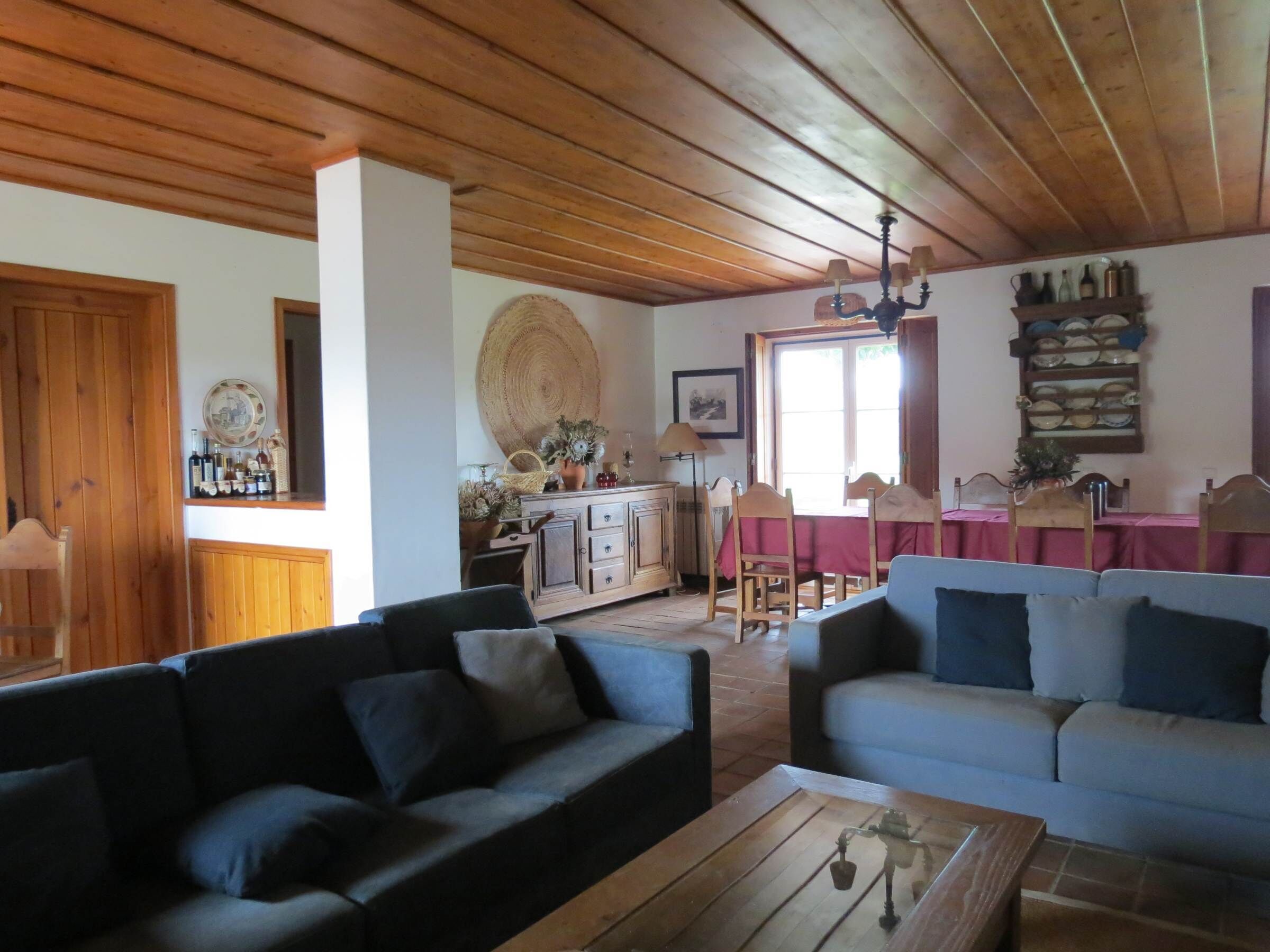 Televisie, een open haard, tafelvoetbal en een tafeltennistafel