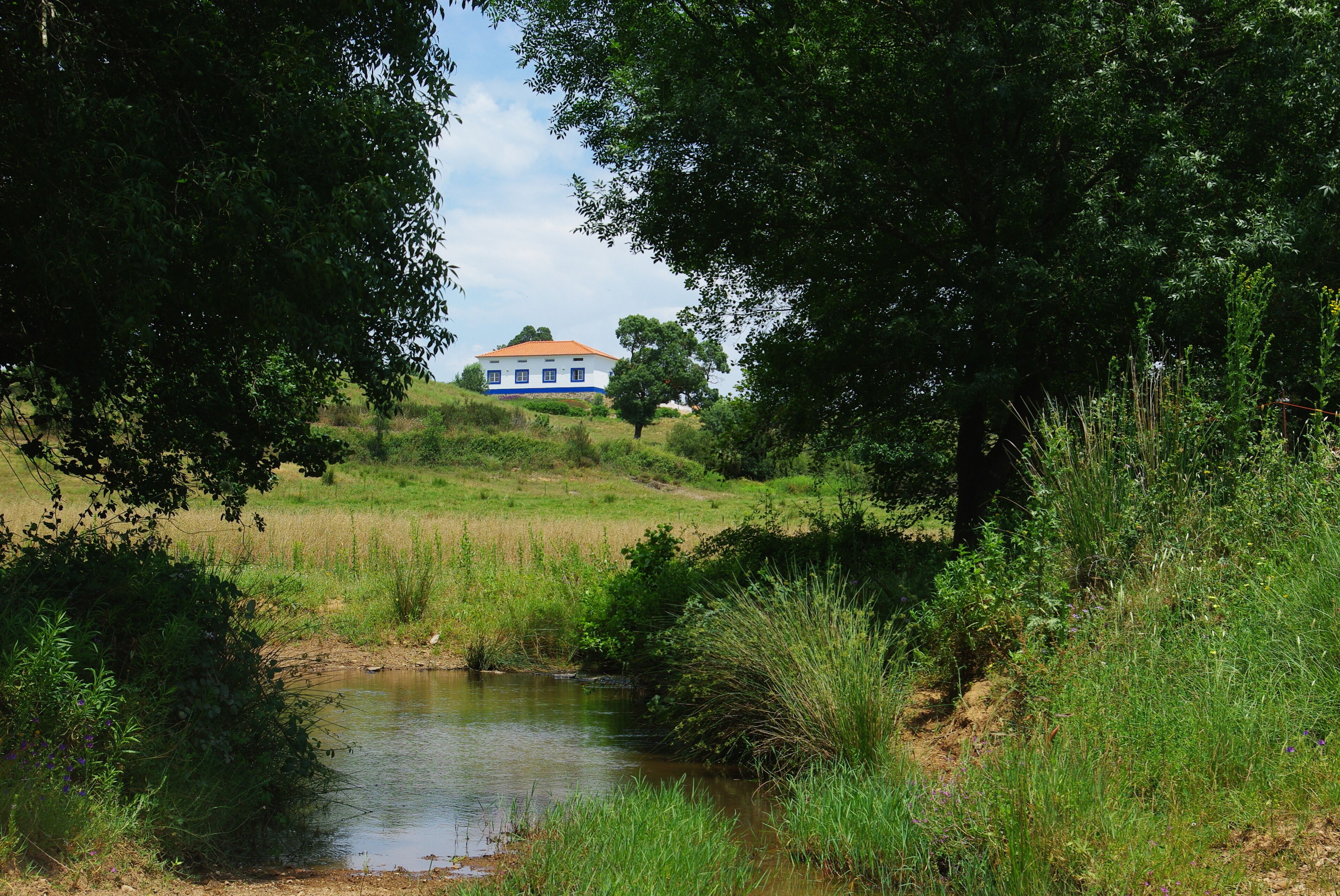 Une maison avec un toit rouge et des murs blancs, entourée d’une végétation luxuriante et traversée par un petit ruisseau.