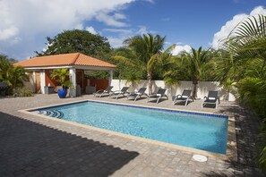 Pool - Luxury Villa for rent with swimming pool in Curacao (Jan Thiel)