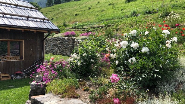 A rustic cabin with a stone wall and a garden with various flowers.