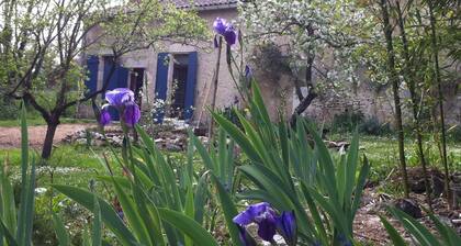 Iris Meadow Cottage in the midst of Dordogne's vineyards
