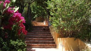 A set of outdoor stone steps leading up to a wooden bench, surrounded by lush greenery and flowering plants. - Comfortable apartment with terrace overlooking the sea, near Villasimius (Solanas)