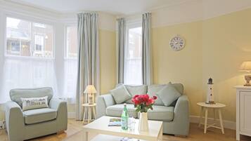 TV connectée, cheminée, lecteur de DVD