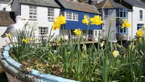 A coastal town with white and blue houses, a seagull, and daffodils in a flower bed.
