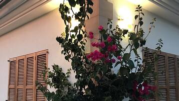 DĂ©tail de lâextĂ©rieur