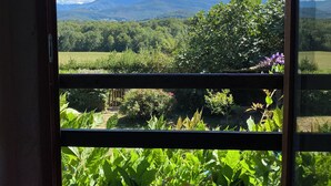 Une fenêtre donnant sur un paysage verdoyant et luxuriant, avec des arbres et une chaîne de montagnes lointaine.