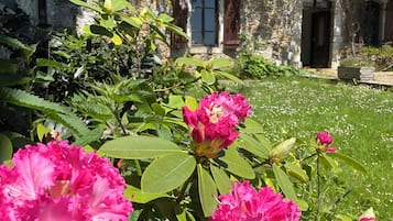 Detall de l'exterior